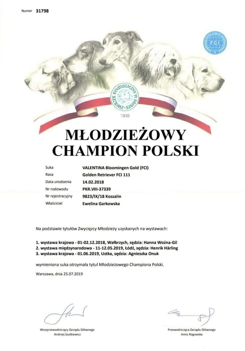 MŁODZIEŻOWY CHAMPION POLSKI